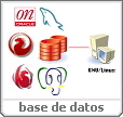 Base de Datos