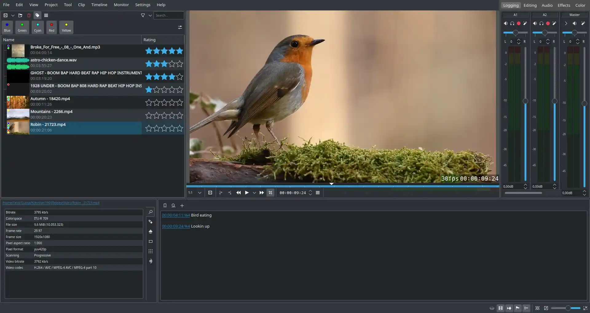 editor de video
